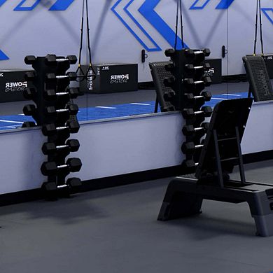 Power Systems 10lb Rubber Hex Dumbbells,Pair of Dumbbells w/Ergonomic Grip & Hexagonal Dead Design