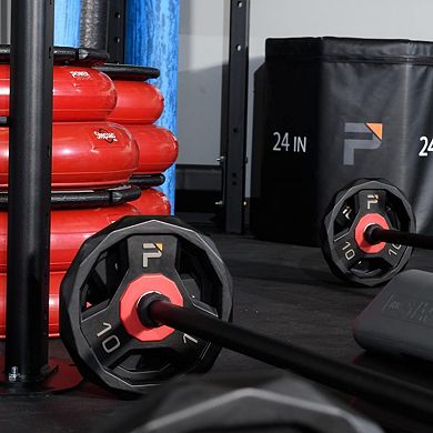 Power Systems ProElite Cardio Barbell - Pair of 10lb Barbell Plates for Home Gym Training