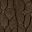 Brown Khaki