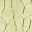 Light Green Dark Blue