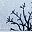 Winter Landscape