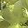 Peridot