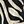 Black Botanic Zebra