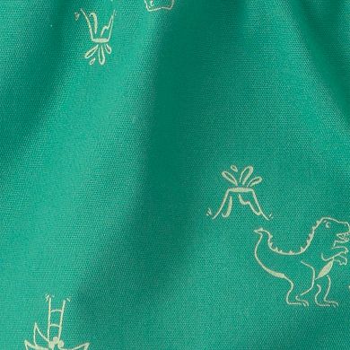 Baby Boy Carter's 2-Piece Dinosaur Top & Short Set