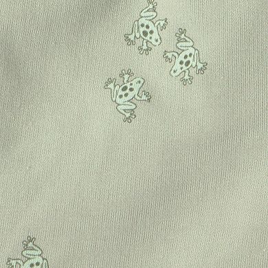 Toddler Boy Carter's 2-Piece Frog Top & Short Set