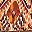 Brown Multicolor