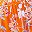 Orange Multicolor