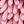 Pink Light Pink Rabbit