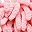 Pink Grey Monster