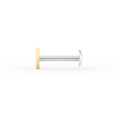 Lila Moon 14k Gold Internally Threaded Micro Labret Pin