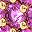 Pink Crystal