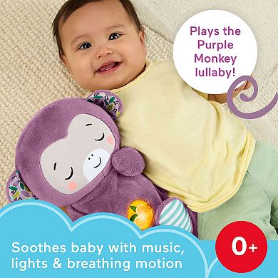 Fisher-Price Soothe ‘n Snuggle Purple Monkey Baby Toy