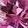 Created Pink Sapphire