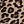 Tan Wild Cheetah