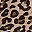 Tan Wild Cheetah