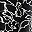 Black Josefina Floral