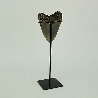 Mounted Giant Megalodon Shark Tooth Fossil Sculpture