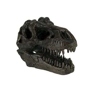 Tyrannosaurus Rex Dinosaur Head Fossil Statue Small