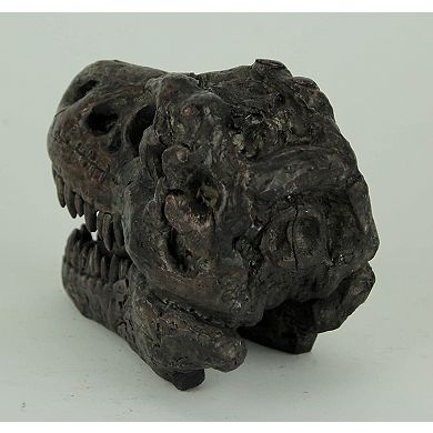Tyrannosaurus Rex Dinosaur Head Fossil Statue Small