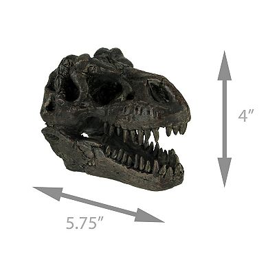Tyrannosaurus Rex Dinosaur Head Fossil Statue Small