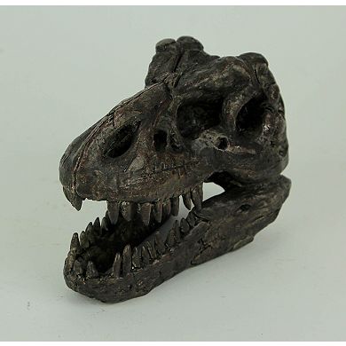 Tyrannosaurus Rex Dinosaur Head Fossil Statue Small
