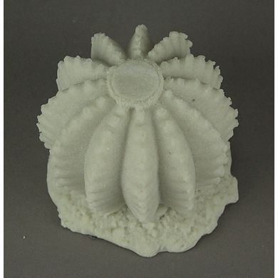 White Sandstone Finish Ball Cactus Statue Small