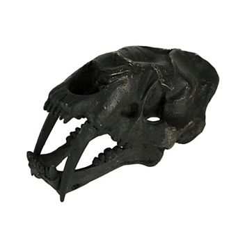 Black Saber Toothed Cat Skull Statue Small