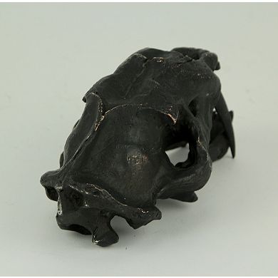 Black Saber Toothed Cat Skull Statue Small