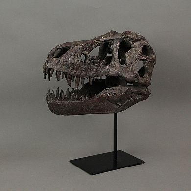 T-Rex Dinosaur Skull Mounted Tyrannosaurus Rex Fossil Statue