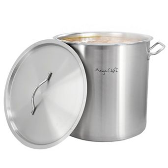 Professional Kitchen 52.8-qt Round Stainless Steel Stock Pot with Lid