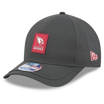 Men's New Era Charcoal Arizona Cardinals 2025 Sideline Cold Weather 9FORTY M-Crown Adjustable Hat