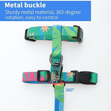 Cat Harness and Leash Set, Escape Proof Soft Lightweight Harness for Travel Walking