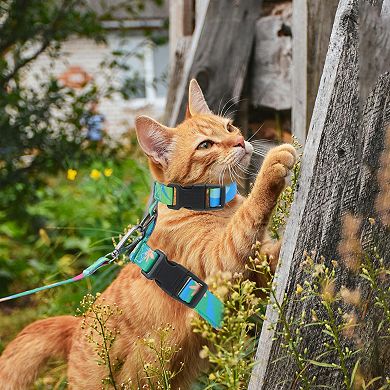 Cat Harness and Leash Set, Escape Proof Soft Lightweight Harness for Travel Walking