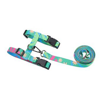 Cat Harness and Leash Set, Escape Proof Soft Lightweight Harness for Travel Walking
