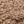 Beige Ivory