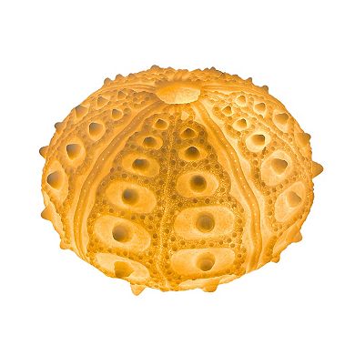 Coastal Sea Urchin Lamp, 12" Resin Sculpture with Warm Glow, Decorative Accent
