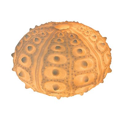 Coastal Sea Urchin Lamp, 12" Resin Sculpture with Warm Glow, Decorative Accent