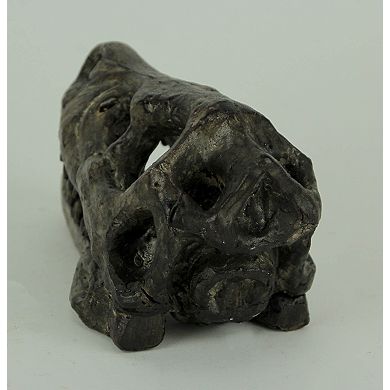 Velociraptor Dinosaur Head Fossil Statue Small