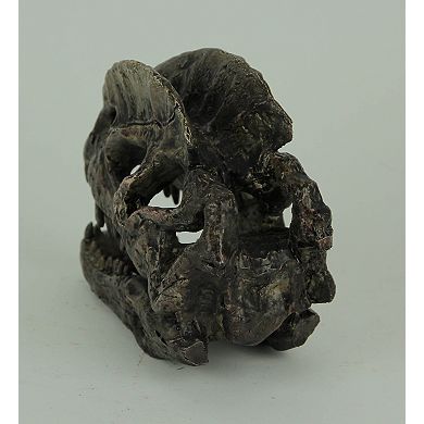 Dilophosaurus Dinosaur Head Fossil Statue Small