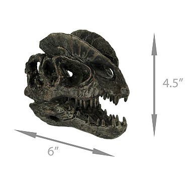 Dilophosaurus Dinosaur Head Fossil Statue Small