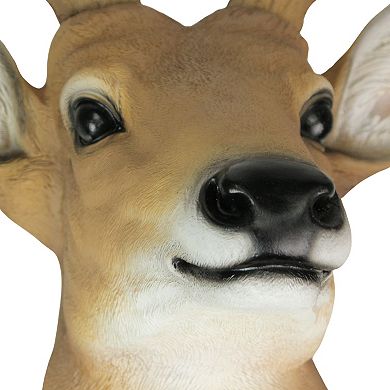 12 Point Buck Deer Head Bust Wall Hanging