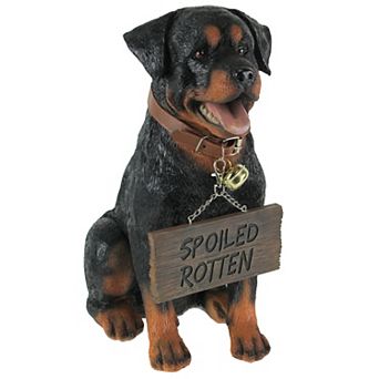 Buddy Rottweiler Guard Dog Indoor Outdoor Statue with Reversible Message Sign
