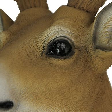 Buck Horns Amazing Antlers Wall Mounted Trophy Deer Head Sculpture