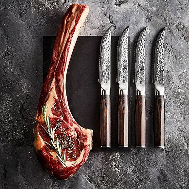 Cuisine::pro® Damashiro® EMPEROR 4-Piece Steak Knife