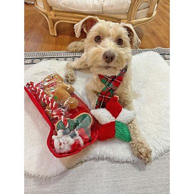 Midlee Toy Filled Christmas Dog Stocking Gift Set- Squeaky Plush Ball Rope Holiday Pet Present