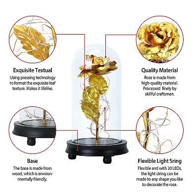 Foil Rose LED String Lights with Glass Dome Fairy Lamp for Valentine’s, Wedding & Birthday