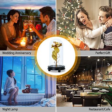 Foil Rose LED String Lights with Glass Dome Fairy Lamp for Valentine’s, Wedding & Birthday