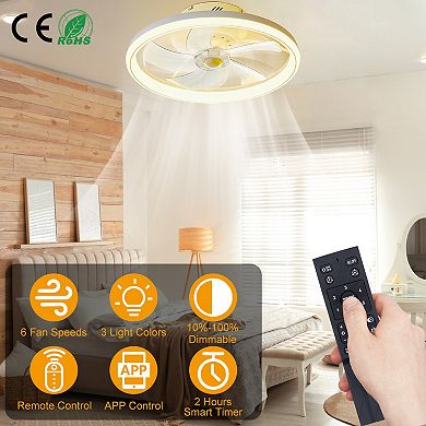 19.7" LED Ceiling Fan with 60W Light, Round Pendant Lamp, 6 Speeds, Color Adjustment, Remote & APP C