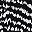 Black Texture
