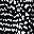 Black Texture